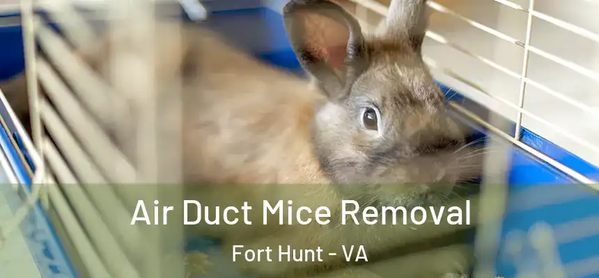 Air Duct Mice Removal Fort Hunt - VA