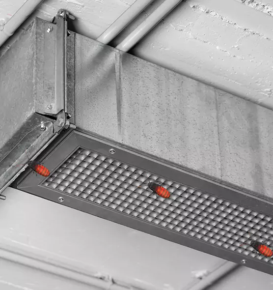 About Air Duct Cockroach Removal in Fort Hunt, VA