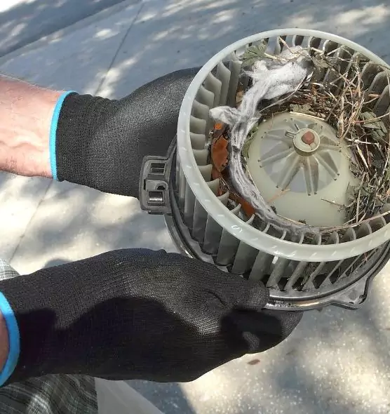 About Air Duct Mice Removal in Fort Hunt, VA