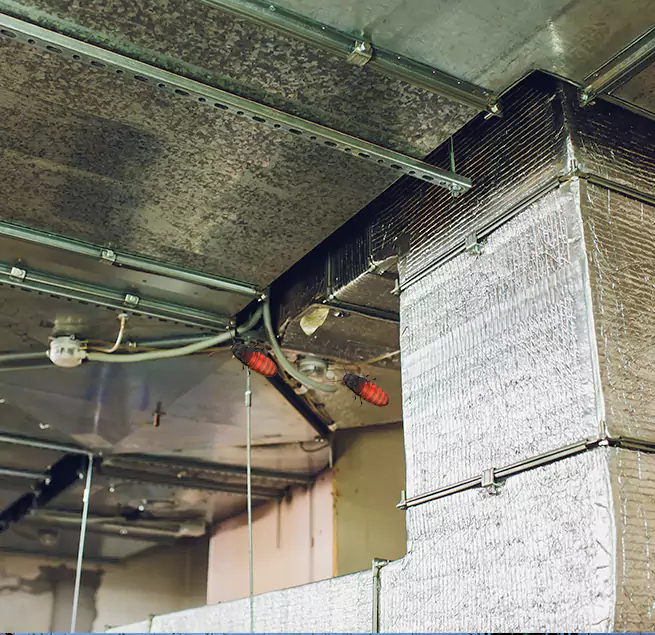 Why Homeowners & Businesses Trust Us in Fort Hunt, VA?