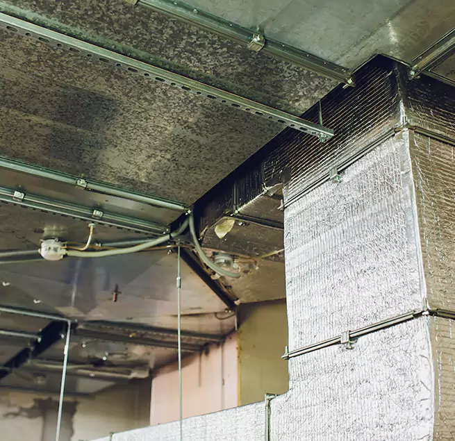 Why Homeowners & Businesses Trust Us in Fort Hunt, VA?